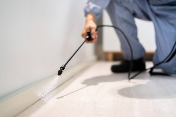 Licensed Pest Control service in Snyder, OK - Show Me Pest Control